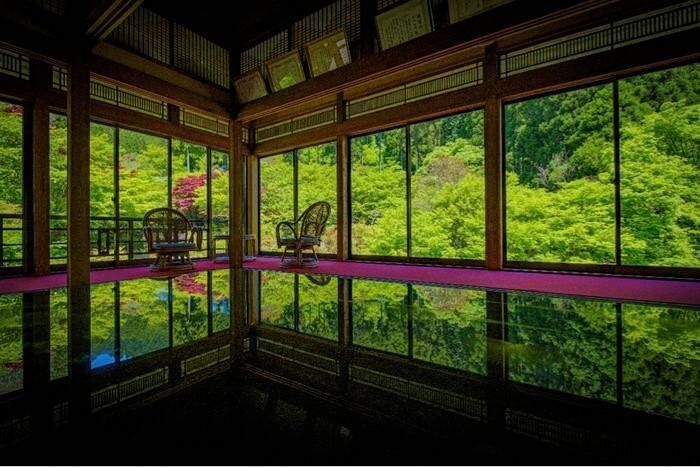 [즉시확정] 가라쓰 환경예술의 숲 티켓 (사가 인생샷 1만그루 단풍명소) 상세 이미지 3