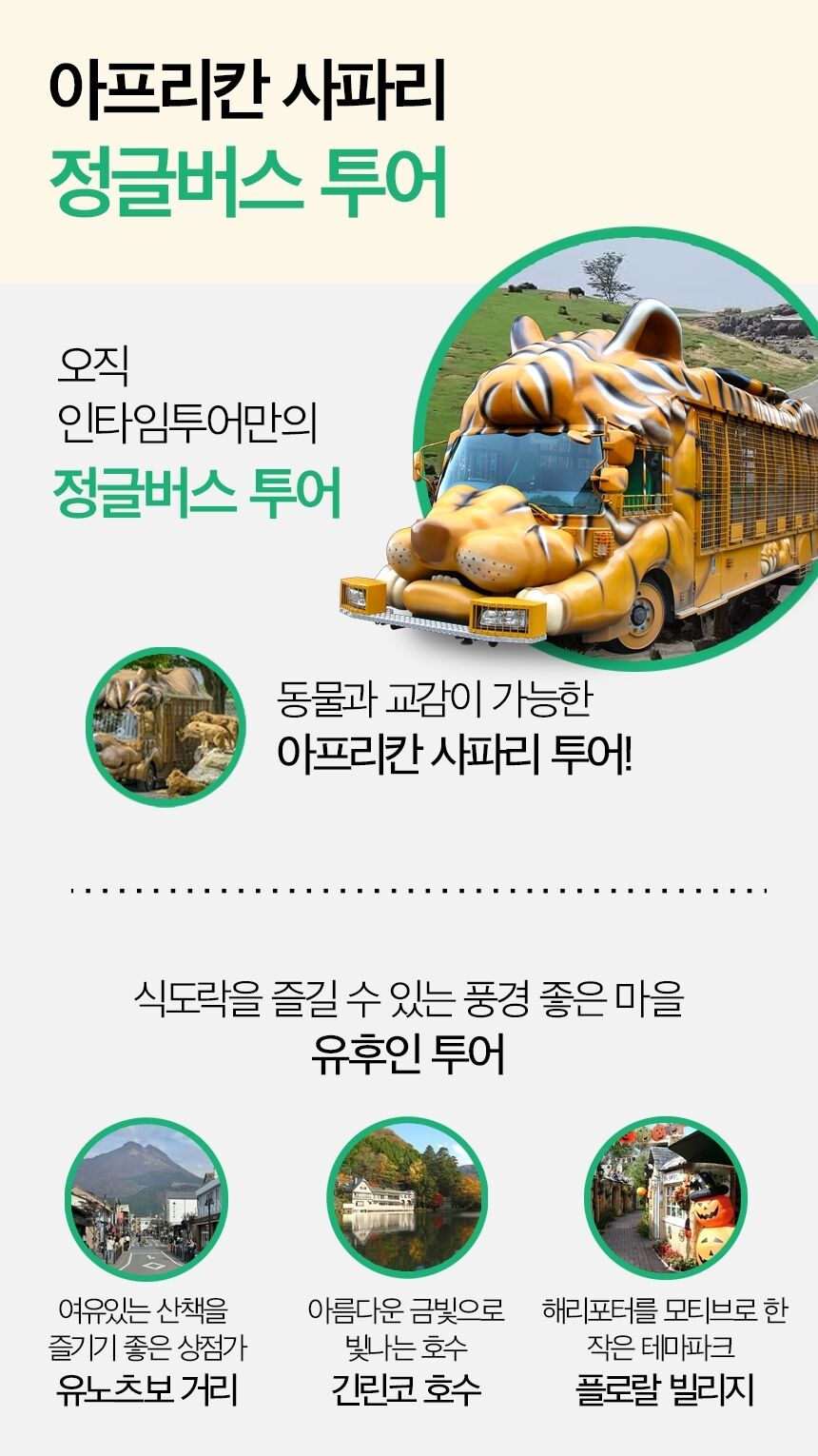 [정글버스탑승 아프리칸사파리투어] 유후인 후쿠오카 사파리 일일버스투어 일본여행 상세 이미지 6