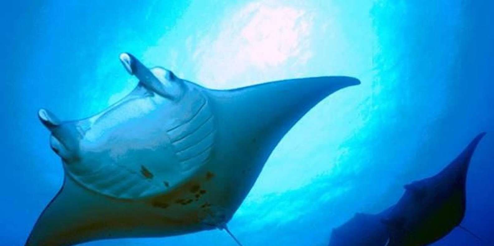 투어·티켓 상품