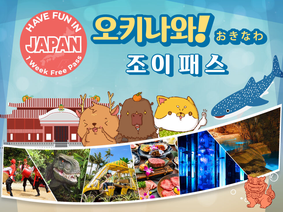 오키나와 조이 패스 1 Week Free Pass :마이리얼트립 일본여행
