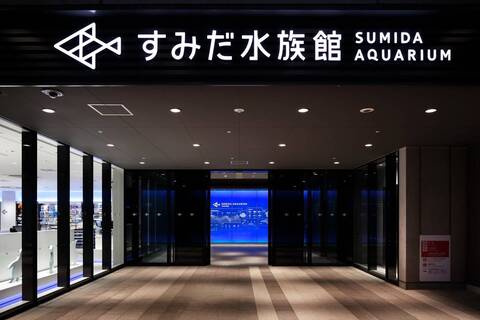 product-thumbnail-4