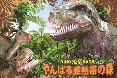 오키나와 티켓·입장권 - 오키나와 DINO 공룡파크 입장권