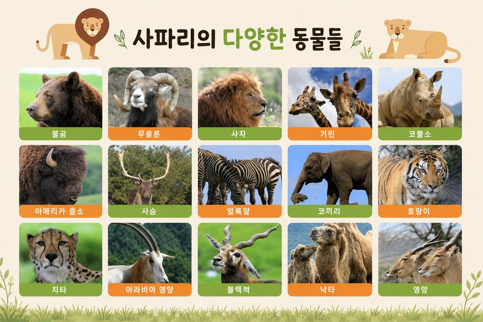 [정글버스탑승 아프리칸사파리투어] 유후인 후쿠오카 사파리 일일버스투어 일본여행 상세 이미지 4