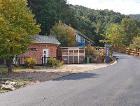 Jidong Pine Tree Forest Camping Site