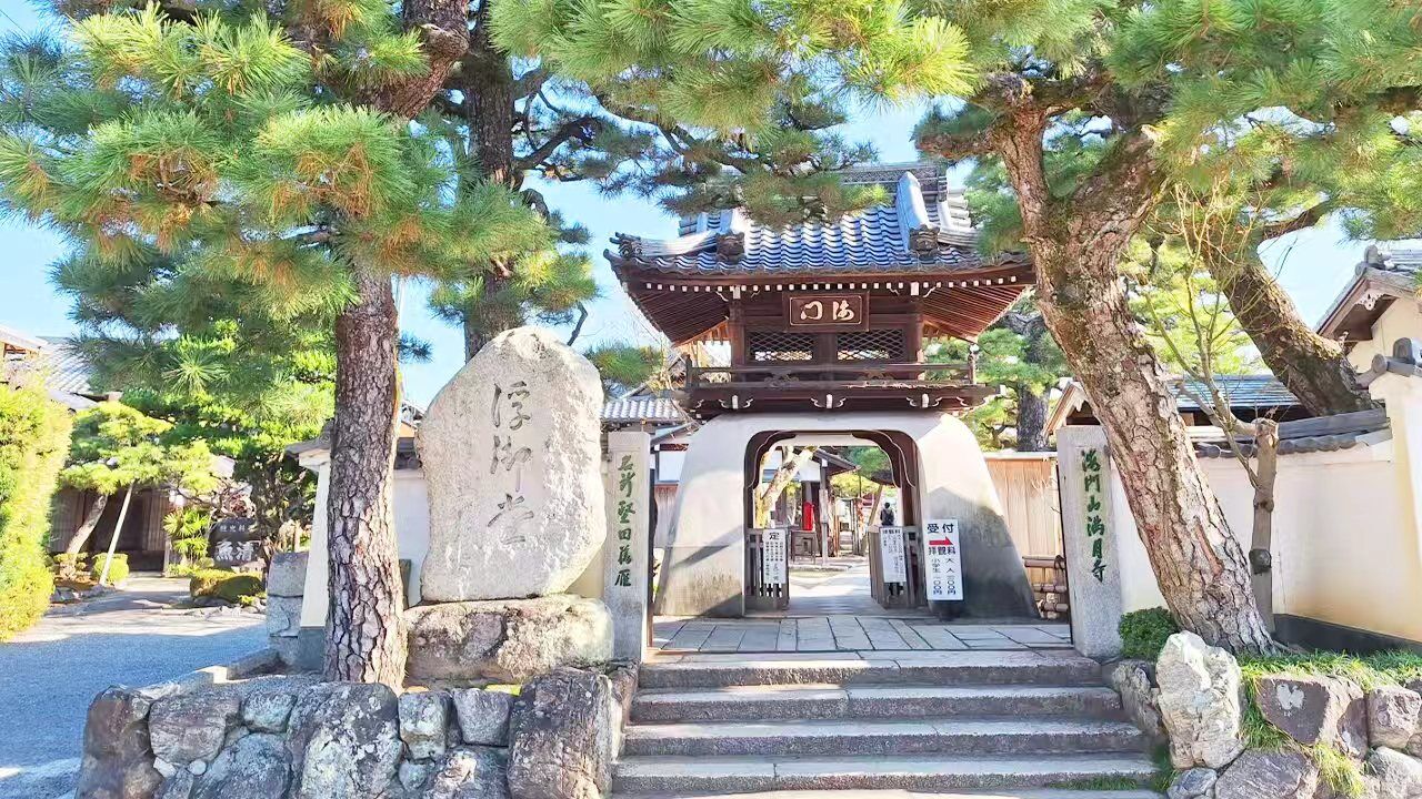 비와호 전망대 백수신사 부어당 당일치기 여행 상세 이미지 3