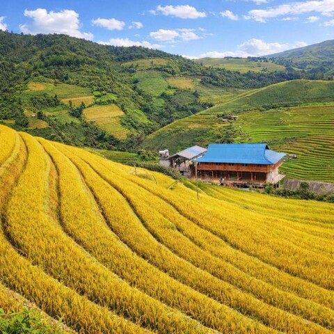 Pu Nhu Homestay