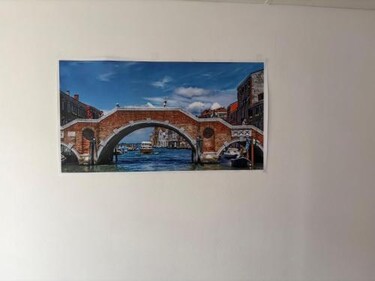 Leone Di Venezia