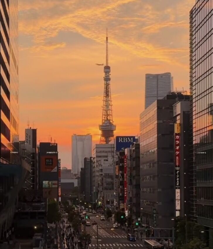「Tokyo2000」 🚩프라이빗 단독차량  ⑴ 반일투어 ⑵ 공항+시내&야경투어