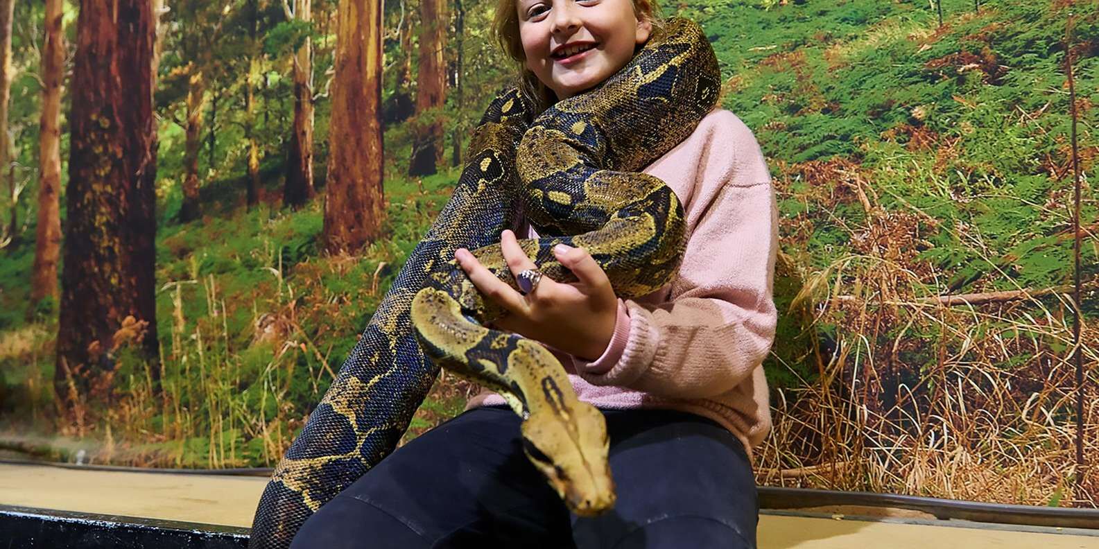 [호주 멜버른] 밸러랫 야생동물 공원 입장권-100마리 캥거루 먹이주기 + 코알라 만나기 상세 이미지 3