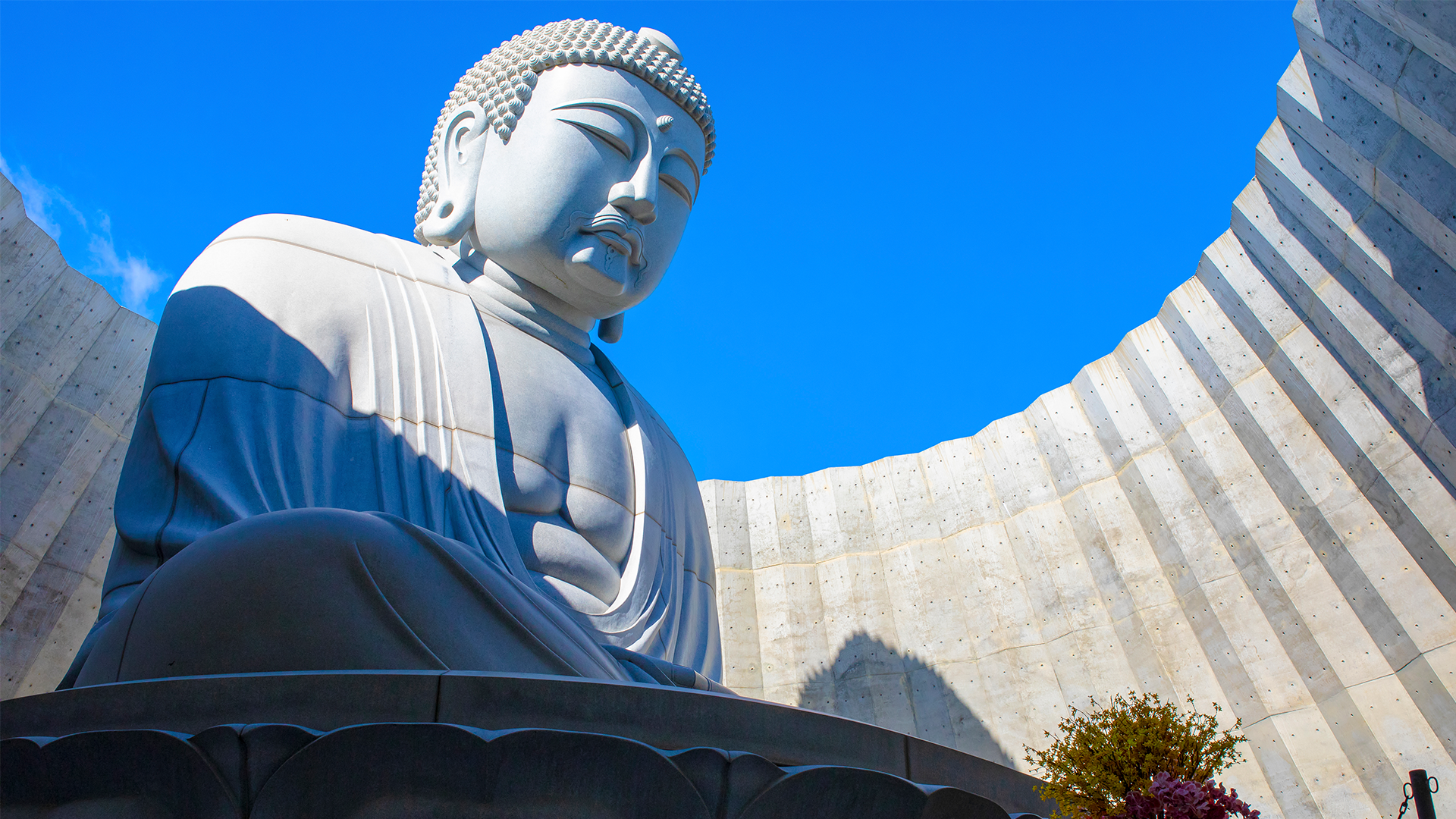 삿포로 프라이빗 투어 | 전용 차량으로 핵심 명소 완전 정복