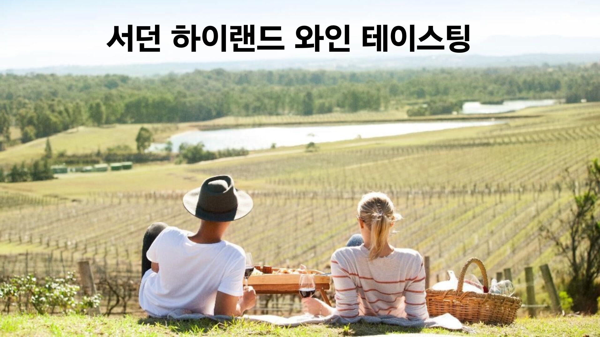 🐾 호주에서 웜뱃 안아봤어? 서던 하이랜드 골번.타랄가.보우럴.와이너리 [놀러와 시드니] 상세 이미지 15