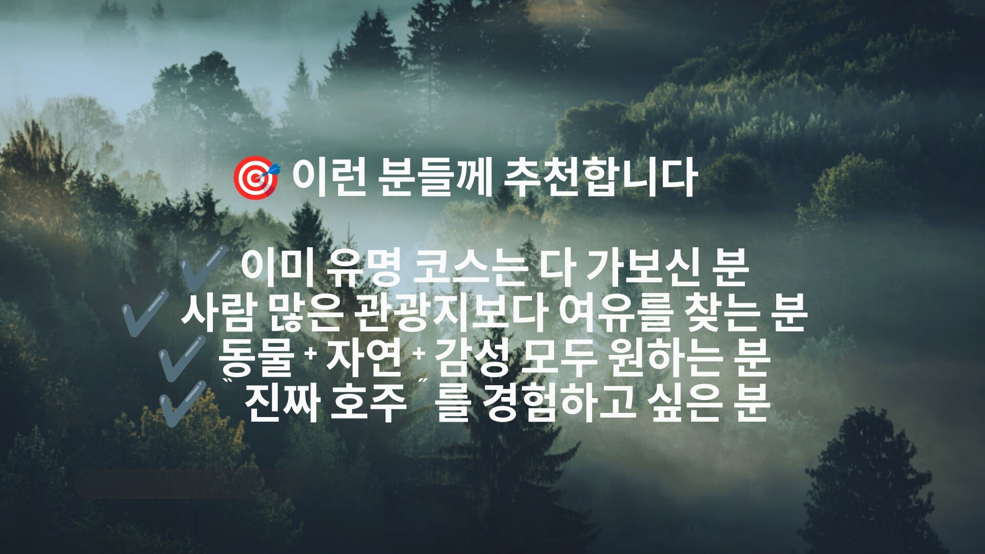 🐾 호주에서 웜뱃 안아봤어? 서던 하이랜드 골번.타랄가.보우럴.와이너리 [놀러와 시드니] 상세 이미지 6