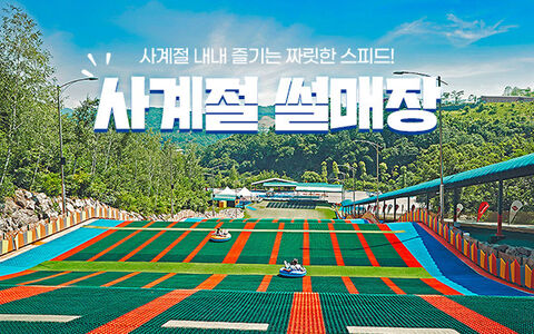 대전 티켓·입장권 - [충청북도] 벨포레 사계절 썰매장
