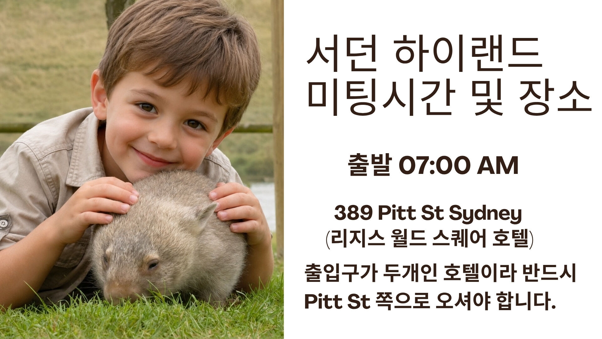 🐾 호주에서 웜뱃 안아봤어? 서던 하이랜드 골번.타랄가.보우럴.와이너리 [놀러와 시드니] 상세 이미지 8