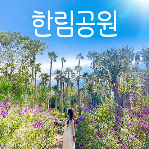 제주도 티켓·입장권 - [제주] 한림공원+심쿵혜택
