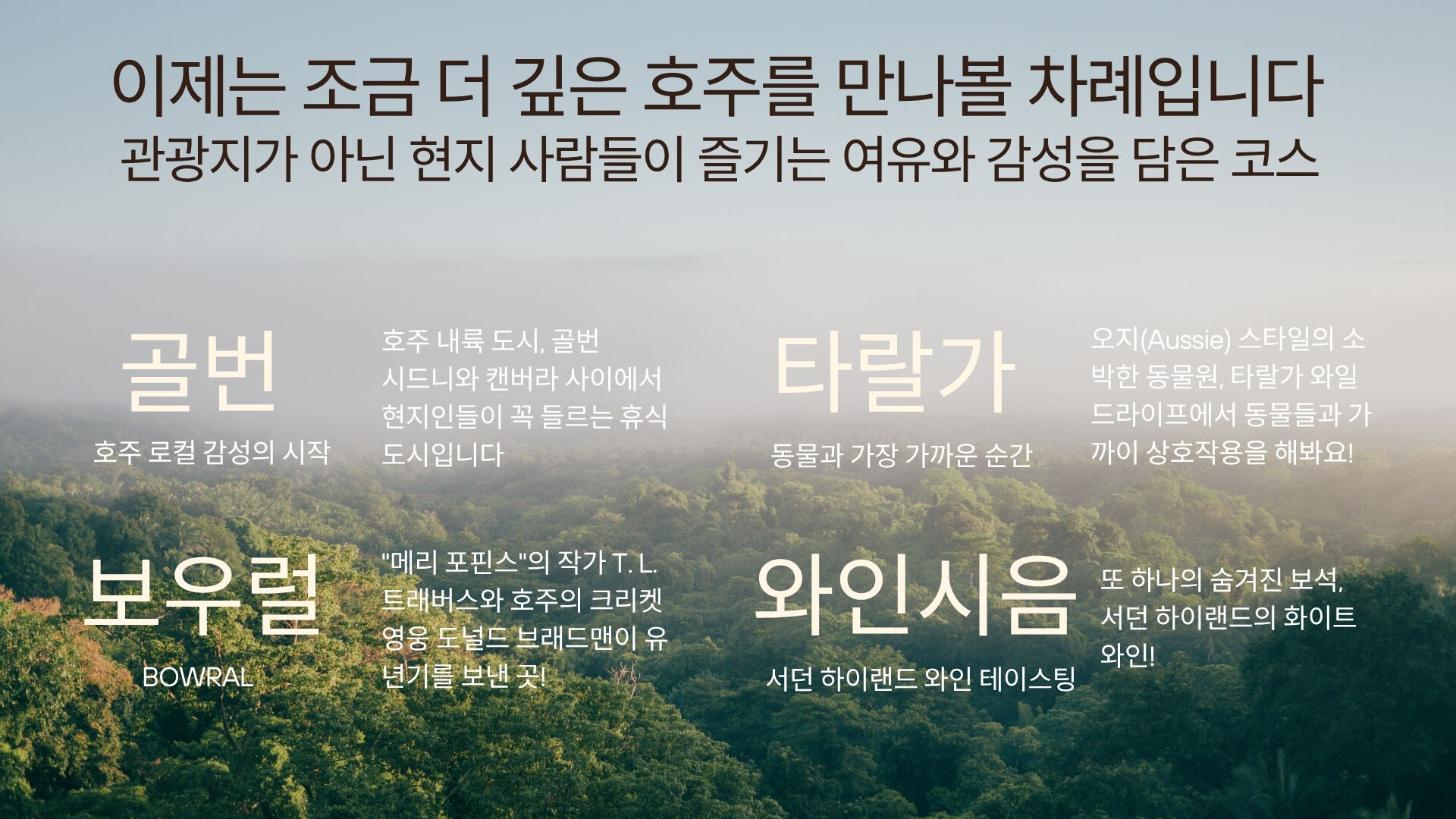 🐾 호주에서 웜뱃 안아봤어? 서던 하이랜드 골번.타랄가.보우럴.와이너리 [놀러와 시드니] 상세 이미지 5