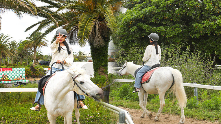[한림] 제주 더마파크 승마 체험권 이미지