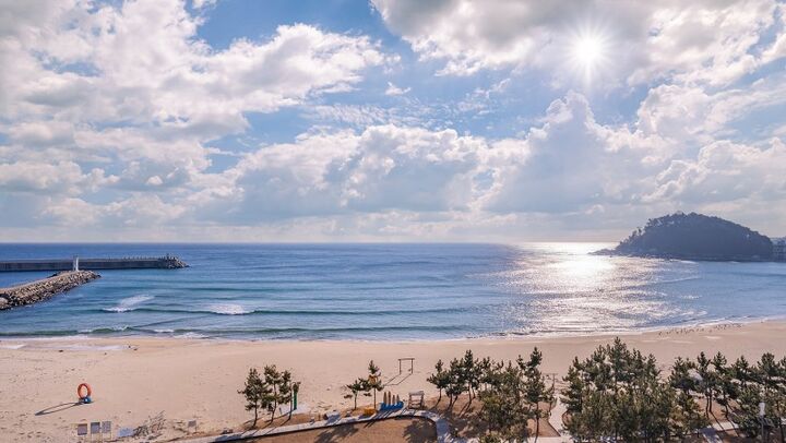 양양 스테이동산(E7 양양죽도)-i