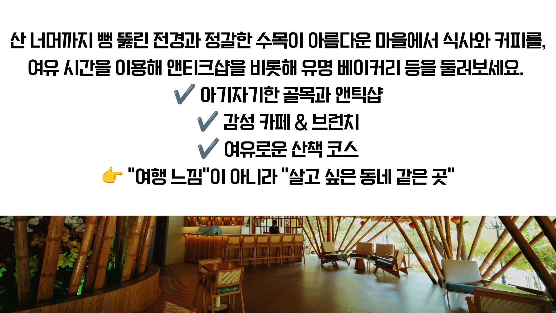 🐾 호주에서 웜뱃 안아봤어? 서던 하이랜드 골번.타랄가.보우럴.와이너리 [놀러와 시드니] 상세 이미지 14