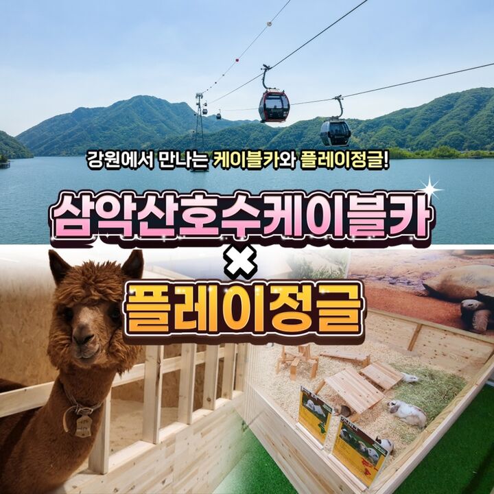 [강원] 삼악산케이블카X플레이정글 춘천엔타점 PKG-i