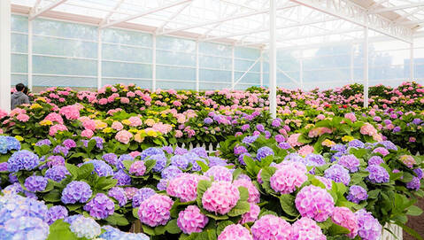 product-thumbnail-3