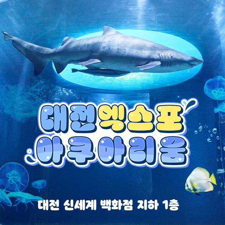 [대전] 엑스포 아쿠아리움 입장권-i