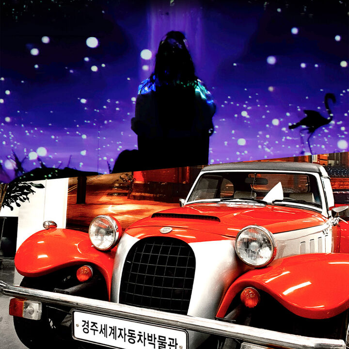 [경주] 정글 미디어파크 통합권+자동차박물관 패키지-i