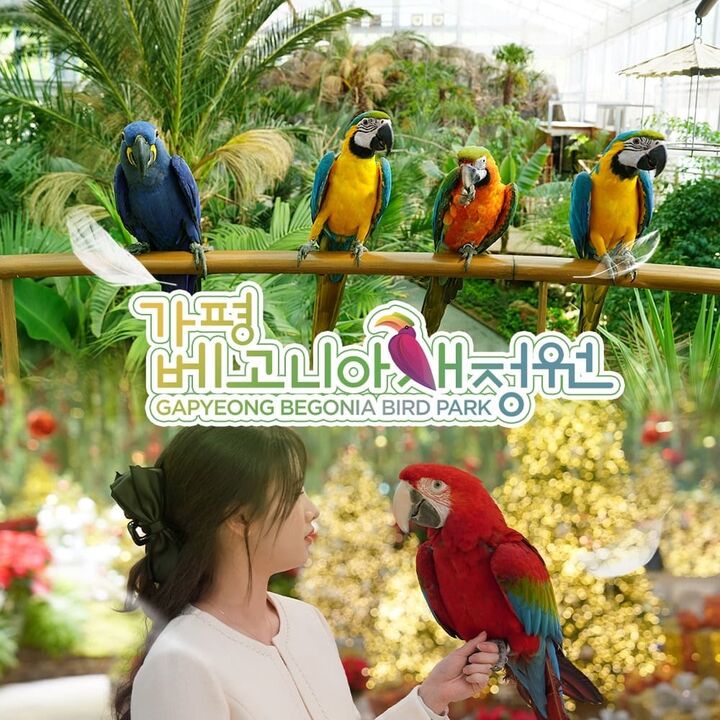 [경기] 가평 베고니아 새정원 입장권-i