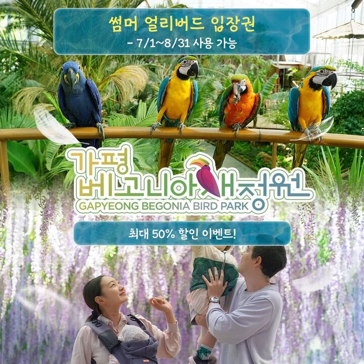 [경기] 가평 베고니아새정원 썸머 얼리버드 입장권(7/1~8/31)까지 사용가능~!-i