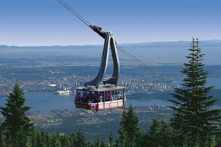 Private Capilano & Grouse Mountain — 티켓 및 픽업 포함-i