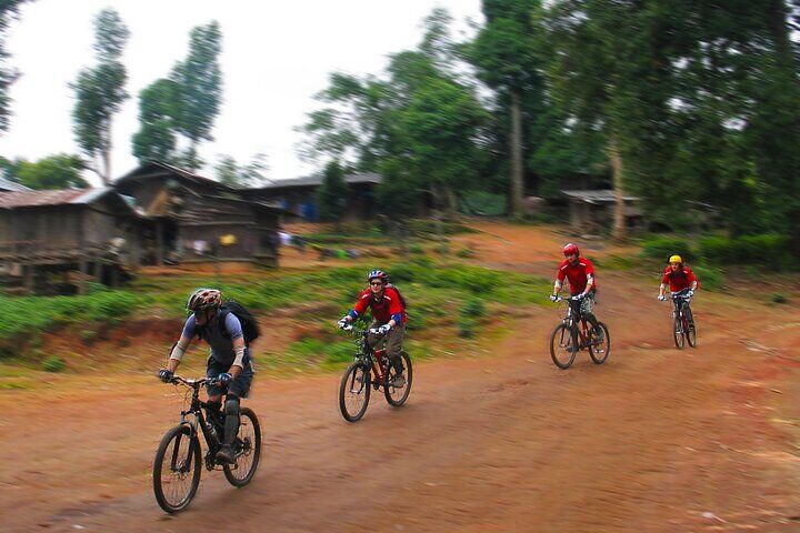 Chiang Mai Hike & Downhill Bike Adventure - 수테프 국립공원