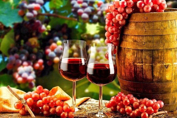 리스본에서 Douro Valley Private Wine Tour :마이리얼트립