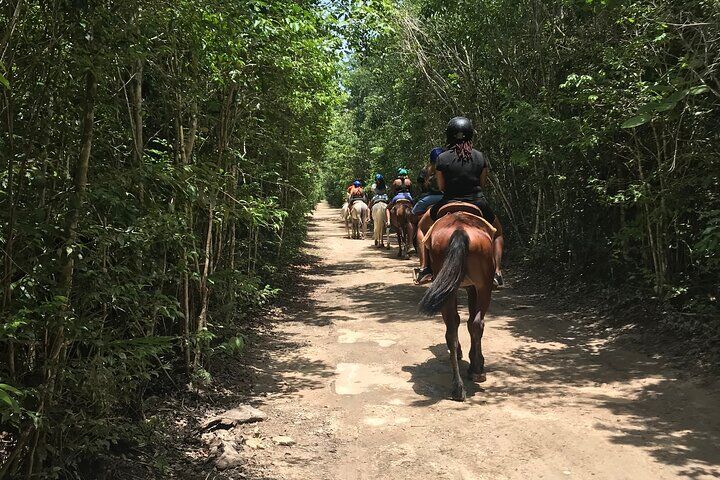 ATV, Cenote, Ziplines, and Lunch에 추가된 승마