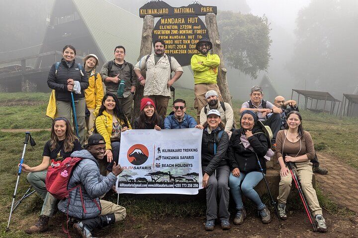 Kilimanjaro One Day Hike 경험-i