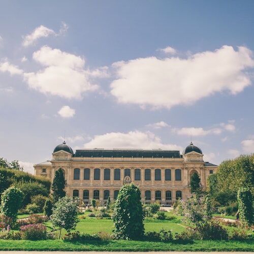 그랑 갈레리 드 에볼루션: 우선 입장권-i