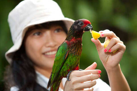 product-thumbnail-4