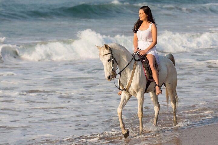 Beach Horse Riding Hurghada 1 시간 또는 2 시간 수영 옵션