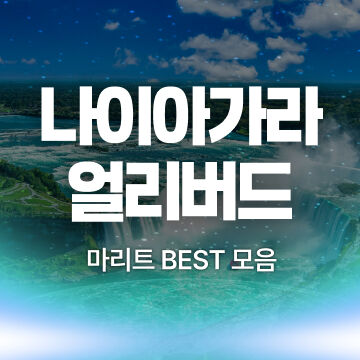 나이아가라 투어