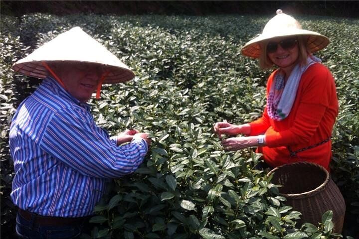 In-Depth Tea Tour : Tea Farms, Taste Longjing 및 현지인 만나기-i