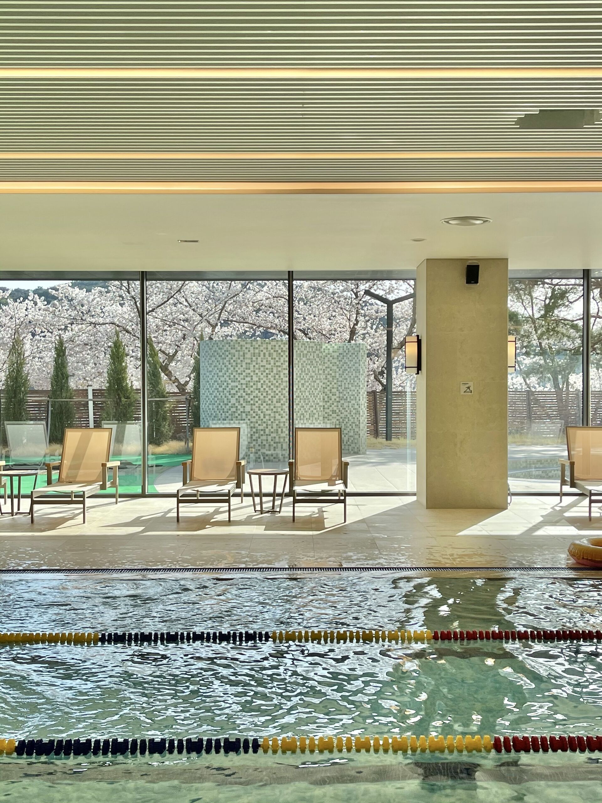 라한셀렉트 경주 수영장
