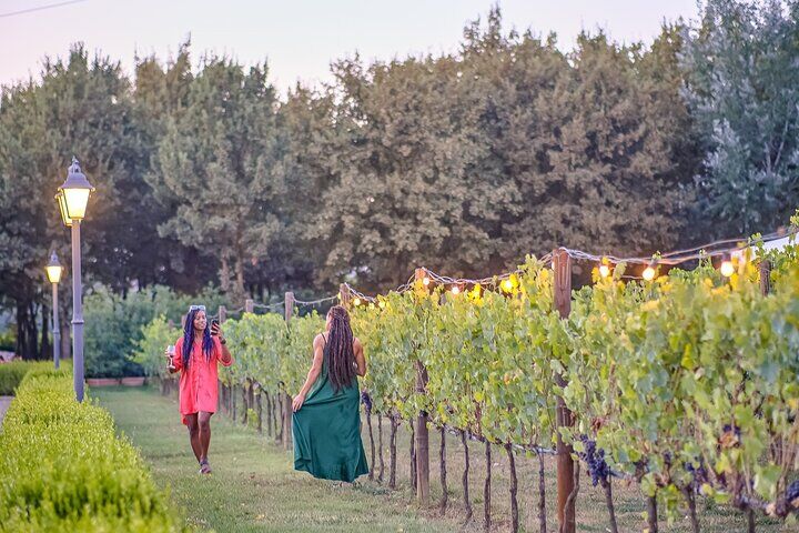 Chianti Delights : Vineyard Dinner 와 2개의 와이너리 이야기