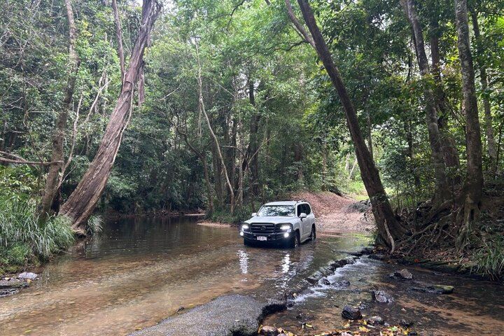 Cairns Rainforest &amp; Waterfalls 4WD 반일 투어 :마이리얼트립