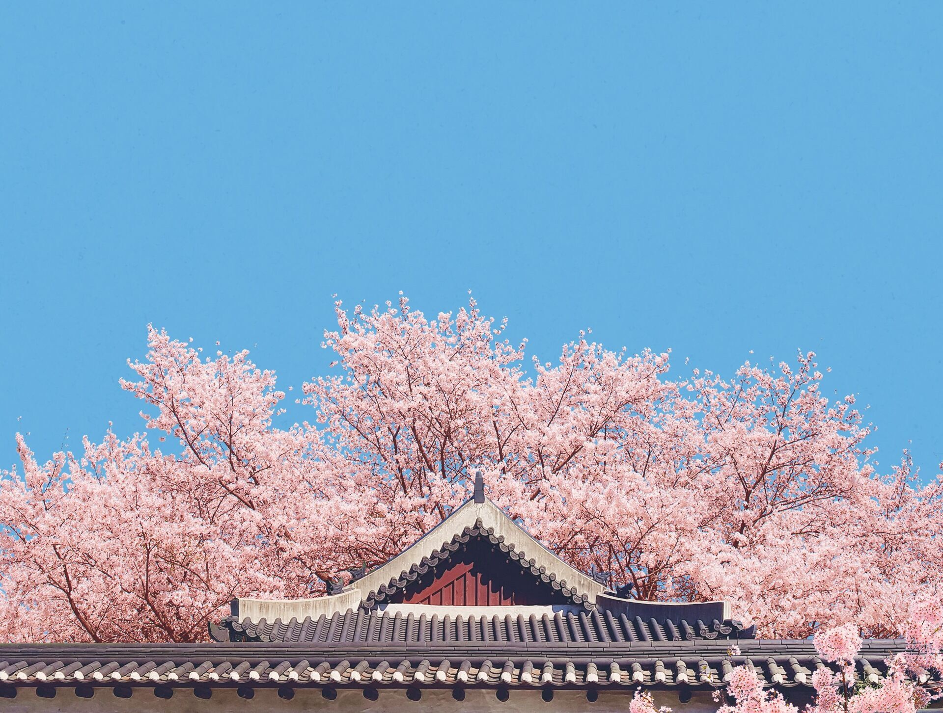 라한호텔 전주 전망