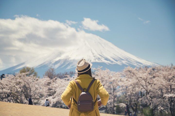 Fuji Mt & Hakone Private Day Tour(영어 사용하는 운전사와 함께)