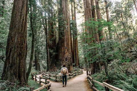 샌프란시스코 투어 - 샌프란시스코, Muir Woods, Sausalito 및 선택적인 알카트라즈 투어