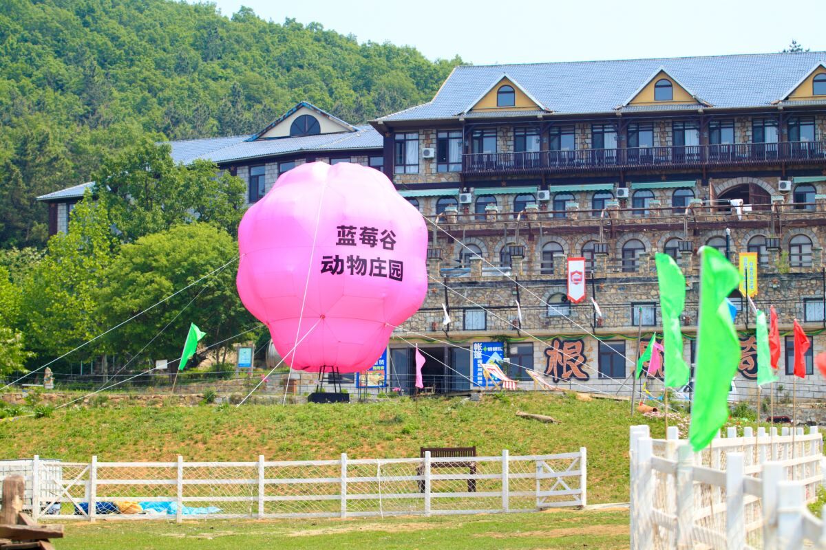 Blueberry Valley Animal Manor 입장권 - 대소공통