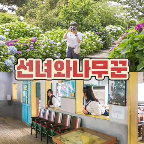 제주도 티켓·입장권 - [제주시] 제주 선녀와나무꾼 테마공원