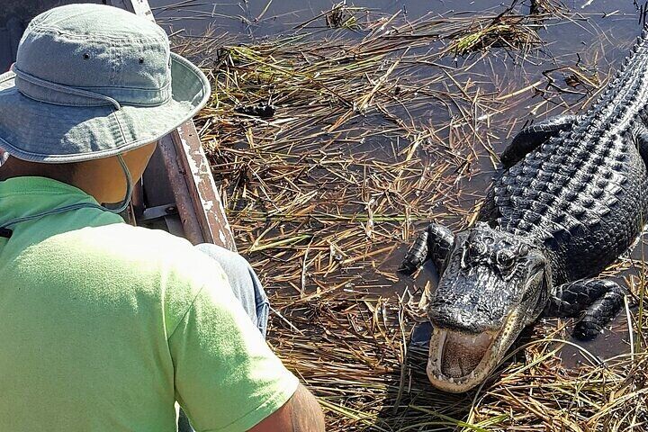 에버글레이드 국립공원(Everglades National Park) 반일 투어 및 1시간 항공 보트 여행-i