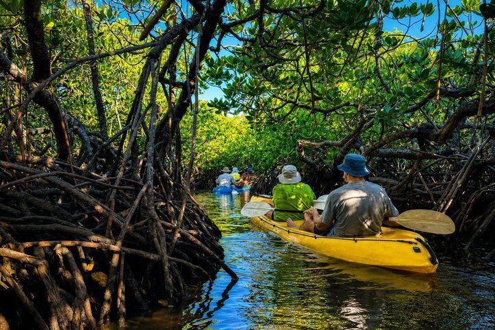 Noosa Heads : Epic Hidden Waterways & Wildlife 카이크 투어-i