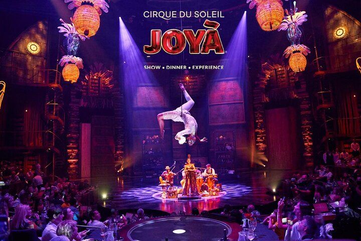 Cirque du Soleil JOYÀ 입장 티켓-i